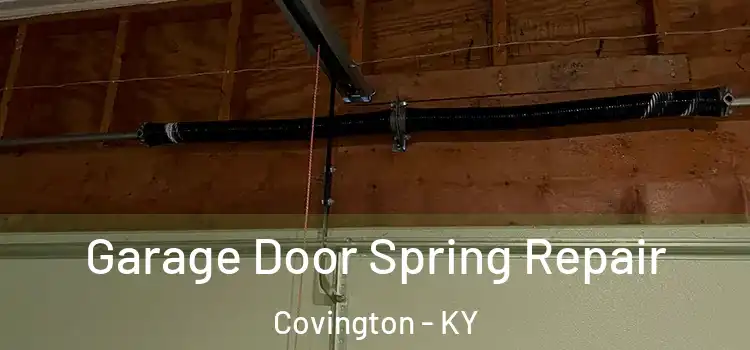  Garage Door Spring Repair Covington - KY