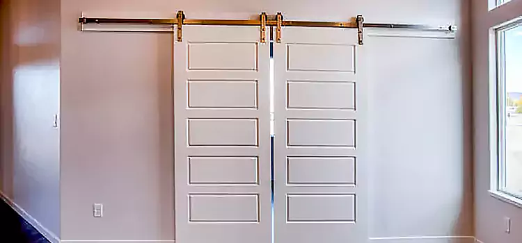 Glass Barn Door with Installation Hardware Kit Covington