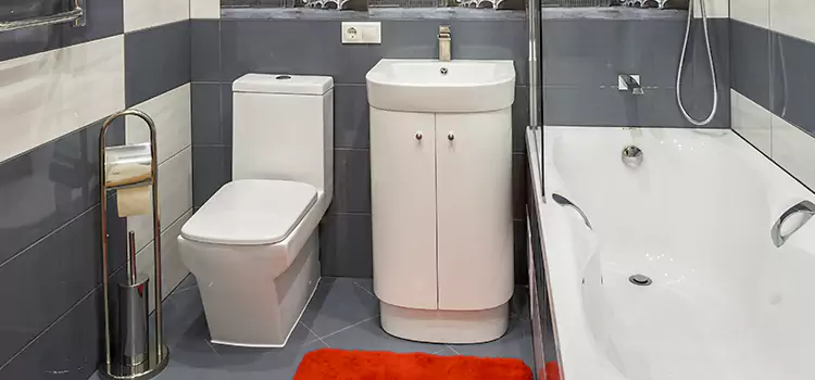 Hansgrohe Shaving Mirror Covington