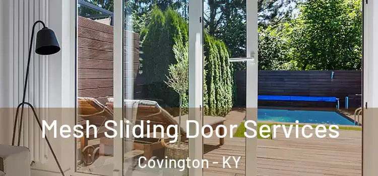 Mesh Sliding Door Services Covington - KY