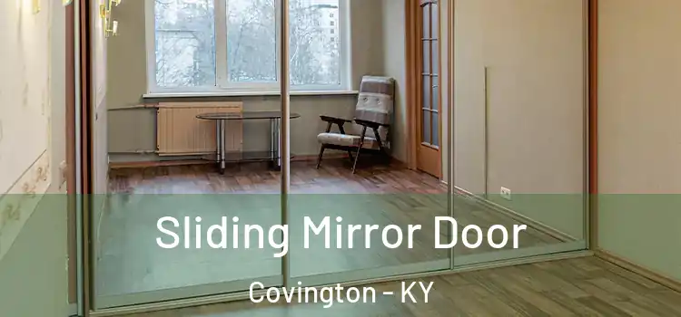  Sliding Mirror Door Covington - KY